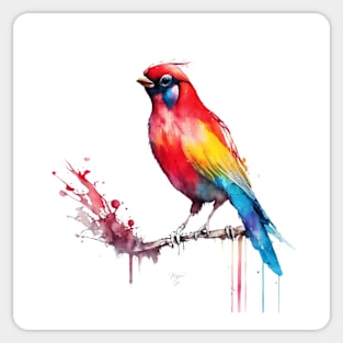 Cardinal Bird Portrait In Watercolors & Pen Sticker